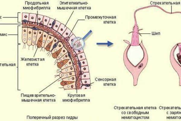 Кракен ссылка kramp.cc